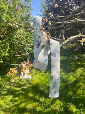 Lien les Rois de la Forêt le Jour – Image 2