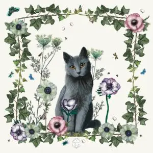 Doudou Chat le Jour