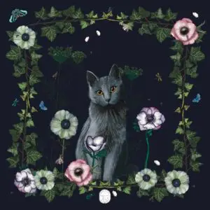 Doudou Chat la Nuit
