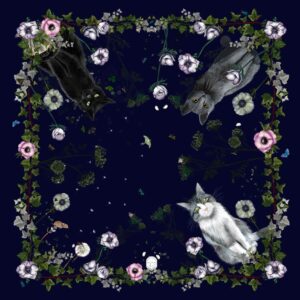 Châle Jouer au Chat et à la souris la Nuit