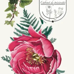 Lien Maman Bébé